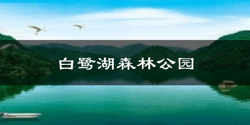 白鹭湖森林公园今日天气
