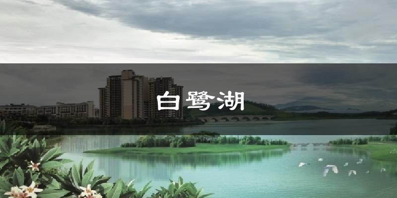 白鹭湖今日天气