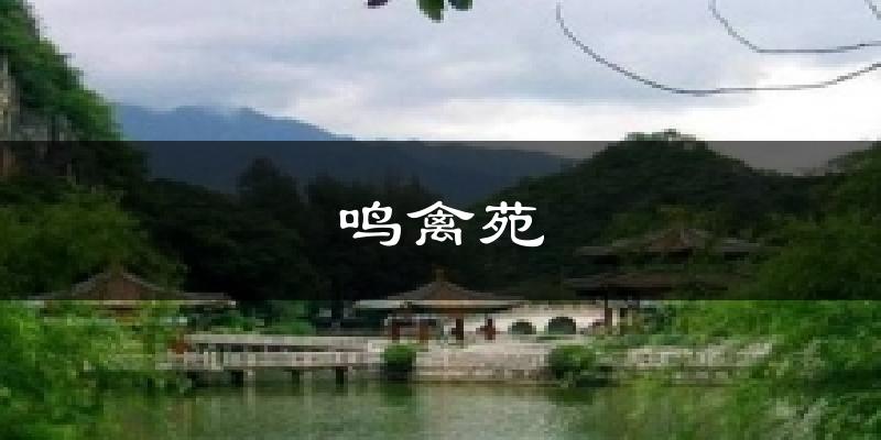 鸣禽苑今日天气