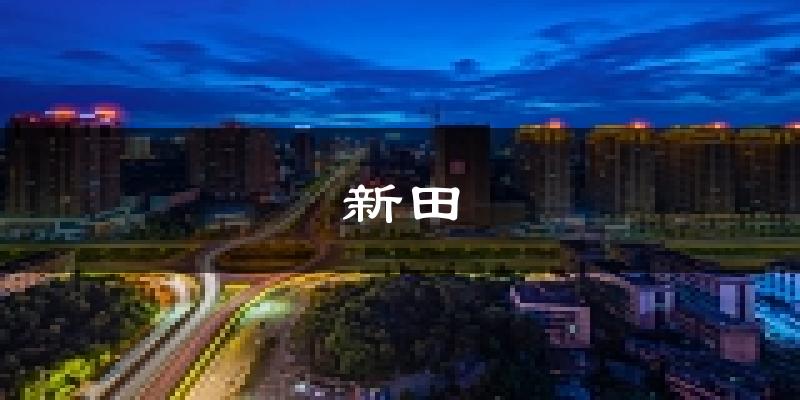 新田天气预报未来一周