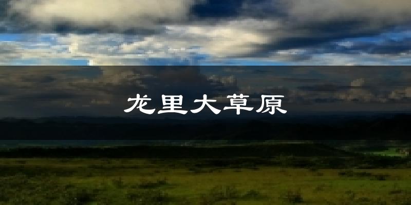 龙里大草原今日天气