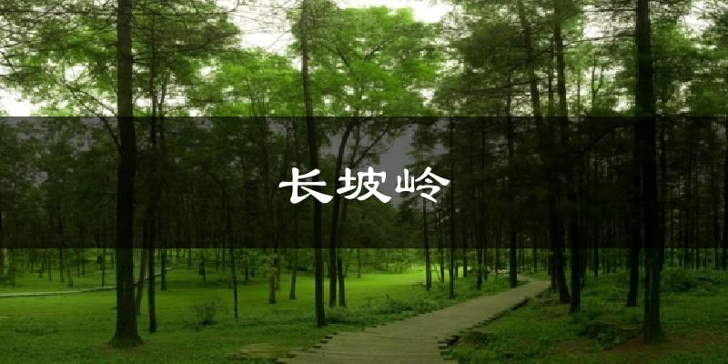 长坡岭天气未来15天