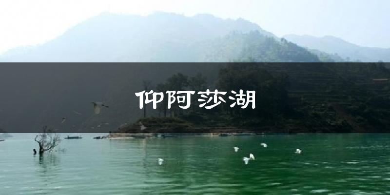 仰阿莎湖天气未来15天