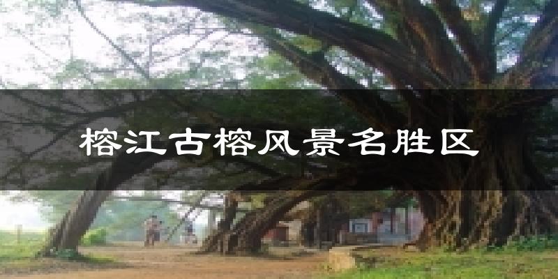 榕江古榕风景名胜区今日天气