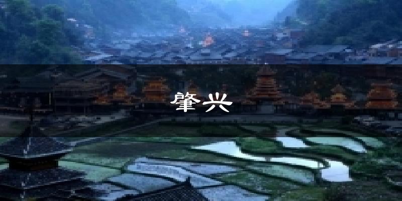 肇兴今日天气
