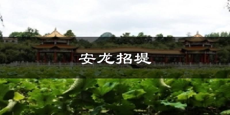 安龙招堤今日天气