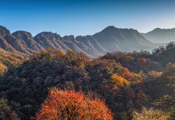 巴中天气未来15天