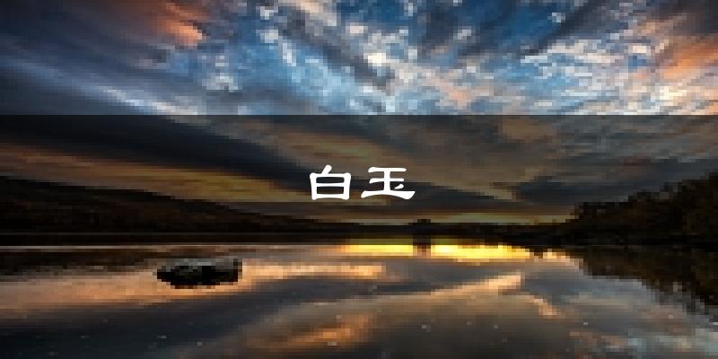 白玉天气预报未来一周