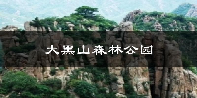 大黑山森林公园今日天气