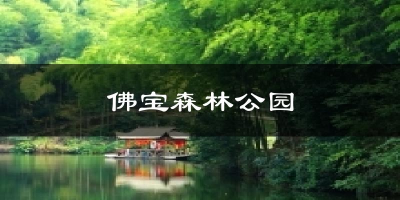 佛宝森林公园气温