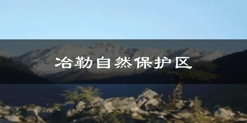 冶勒自然保护区今日天气