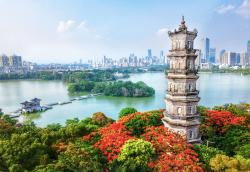 大甲岛天气未来一周