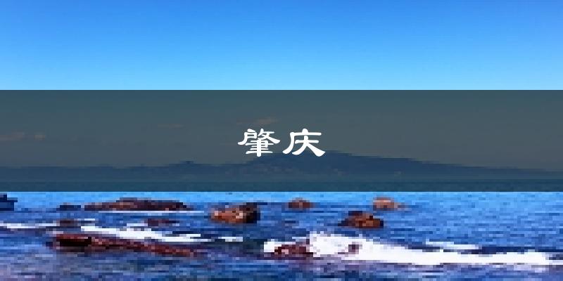 肇庆天气预报未来一周