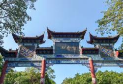 阳山天气未来15天