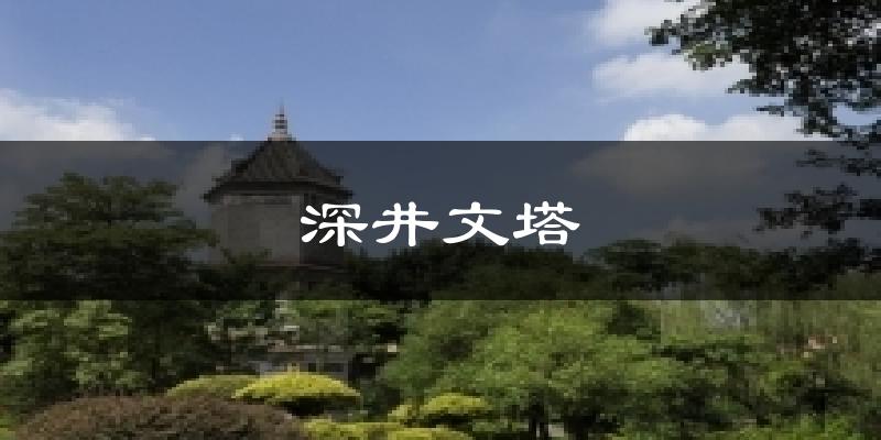 深井文塔今日天气