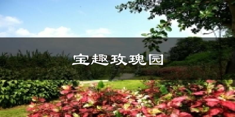 宝趣玫瑰园今日天气
