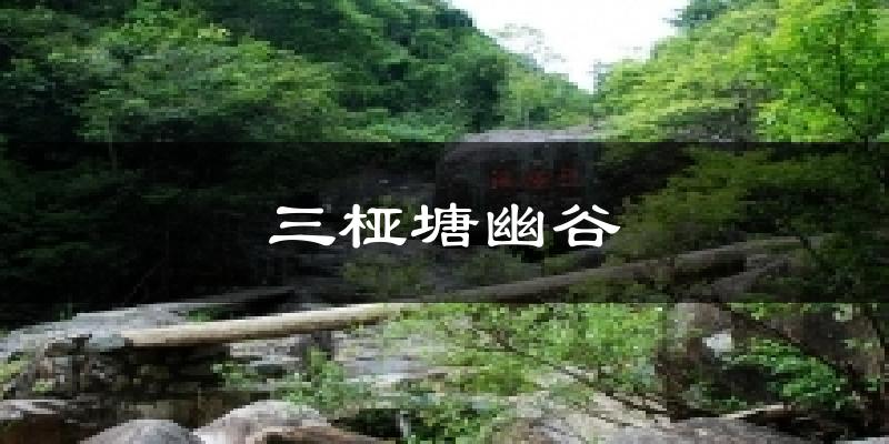 三桠塘幽谷今日天气