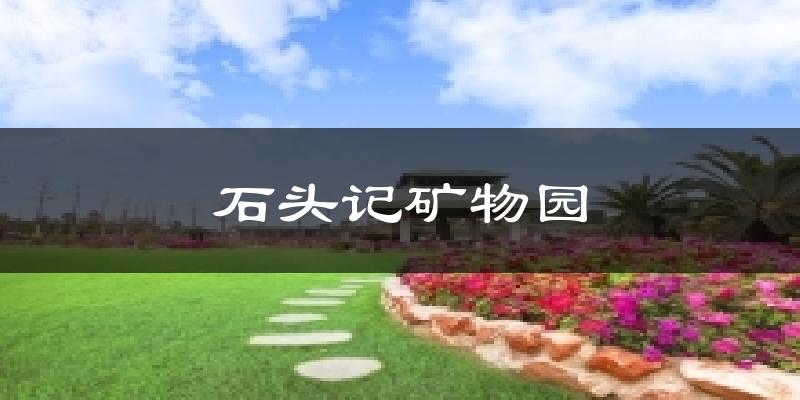 石头记矿物园今日天气