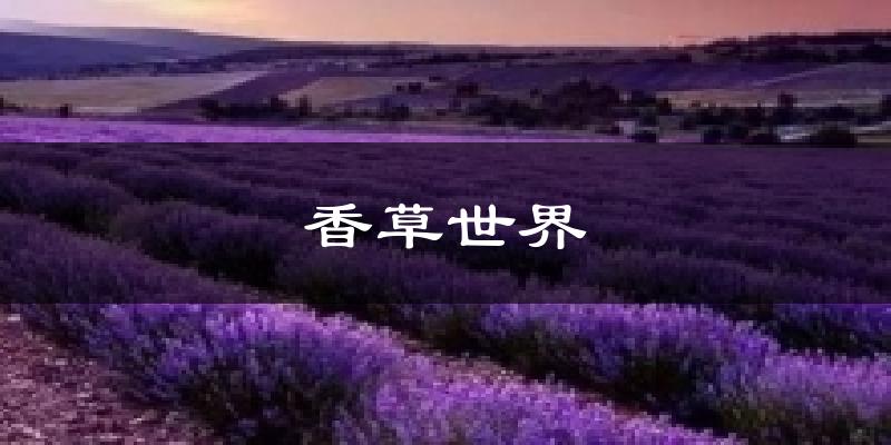 香草世界今日天气