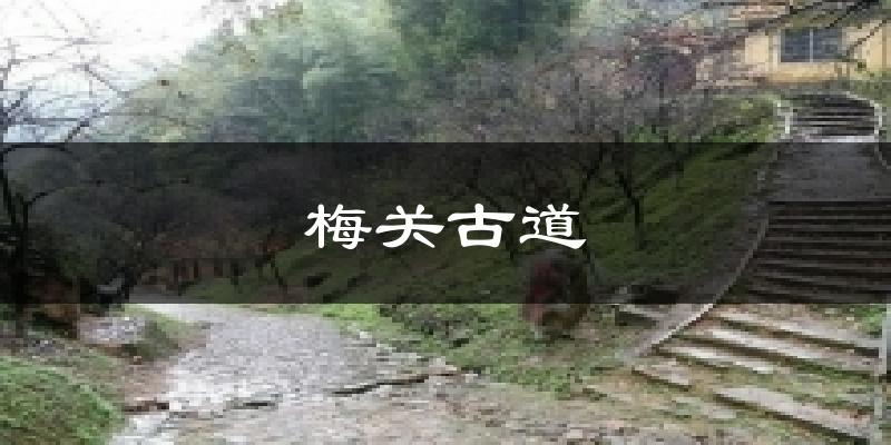 梅关古道今日天气