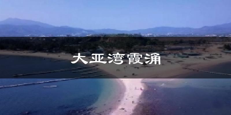 大亚湾霞涌今日天气