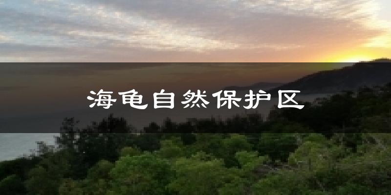 海龟自然保护区今日天气