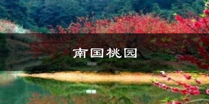 南国桃园今日天气