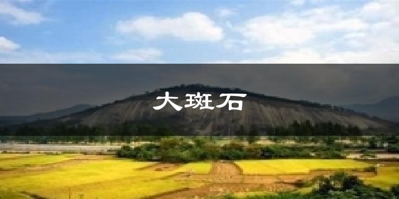 大斑石今日天气