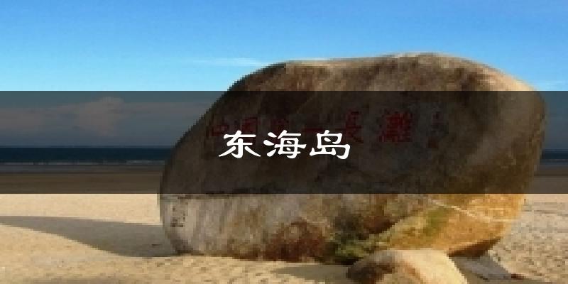 东海岛天气未来15天