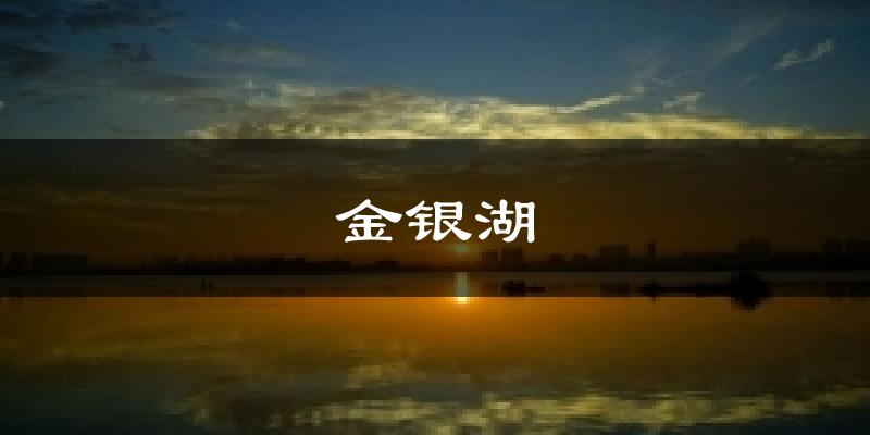 金银湖今日天气
