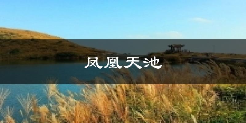 凤凰天池今日天气