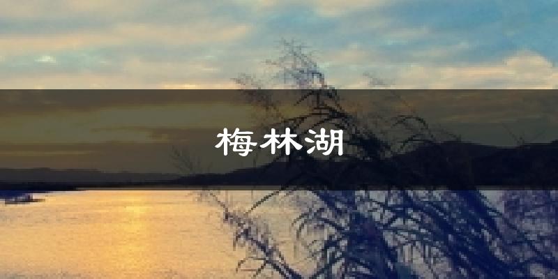 梅林湖气温