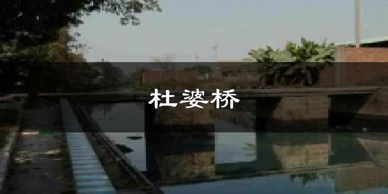 杜婆桥今日天气