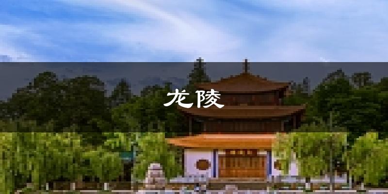 龙陵天气预报未来一周