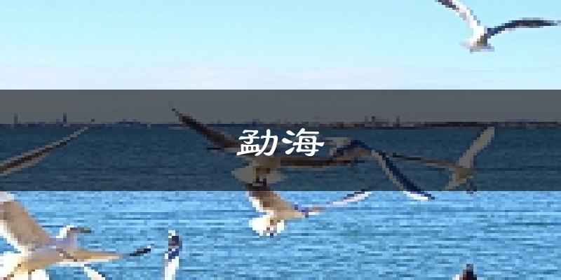 勐海天气预报未来一周
