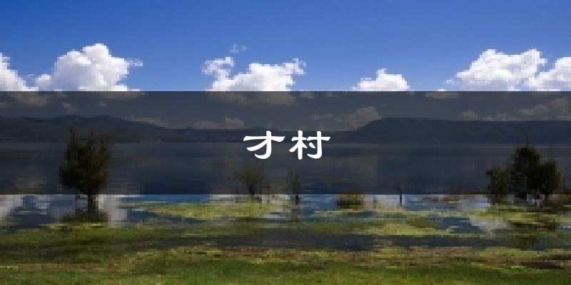 才村今日天气