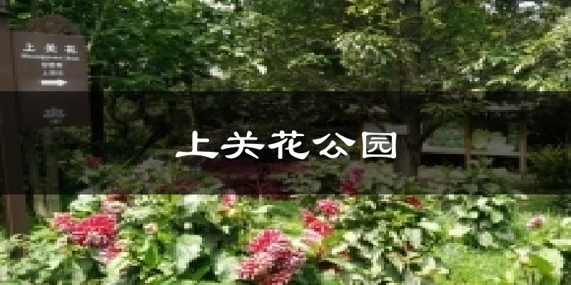 上关花公园今日天气