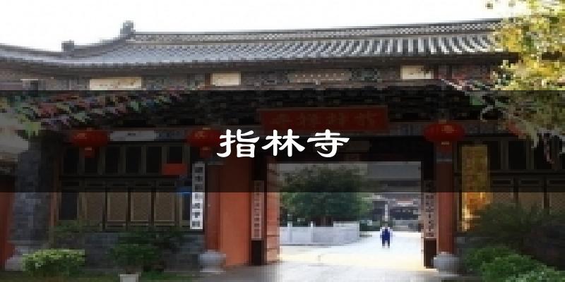 指林寺今日天气