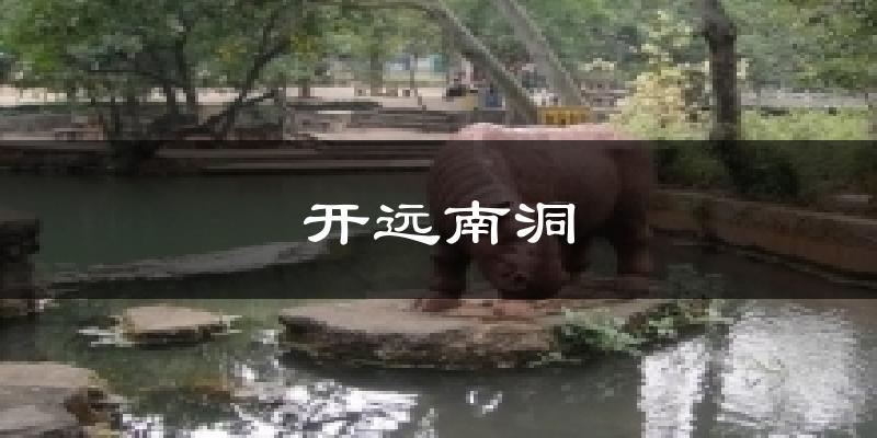 开远南洞今日天气