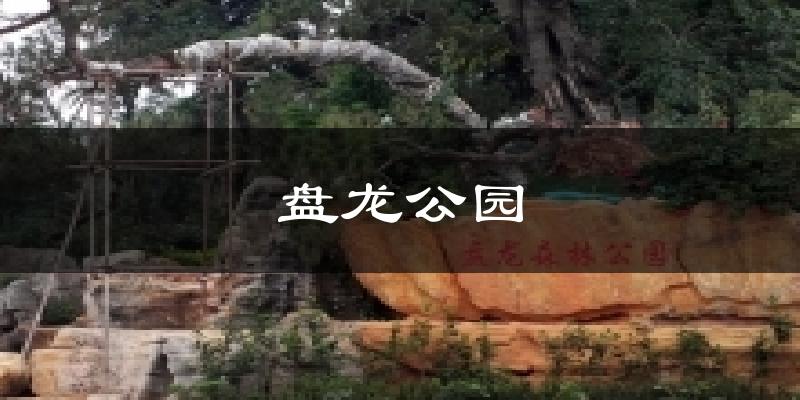 盘龙公园今日天气