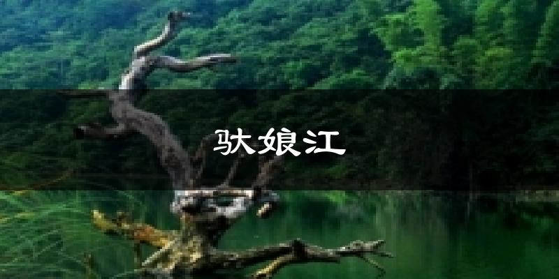 驮娘江今日天气