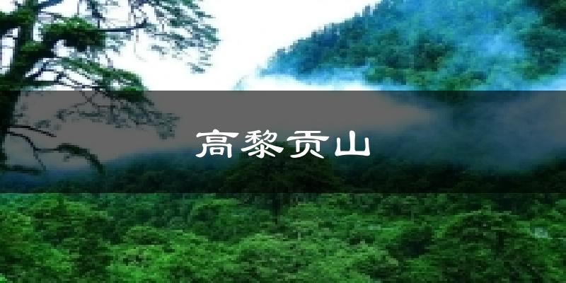 高黎贡山气温