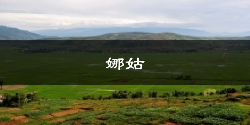 娜姑今日天气