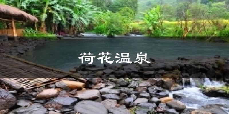 荷花温泉今日天气