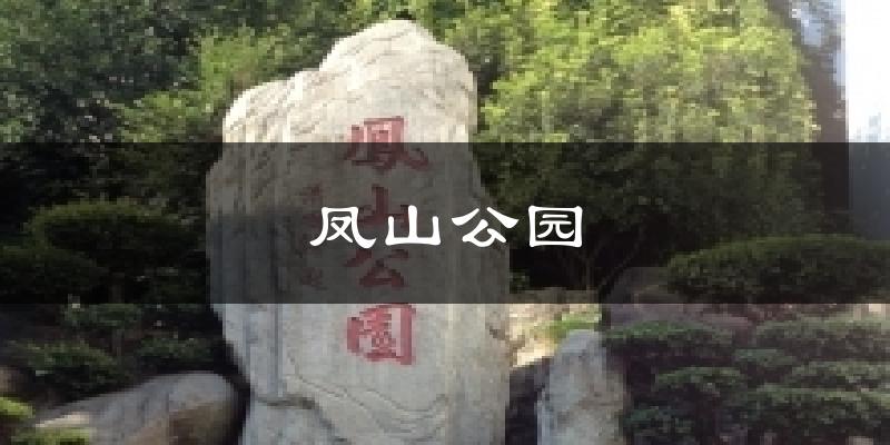 凤山公园今日天气