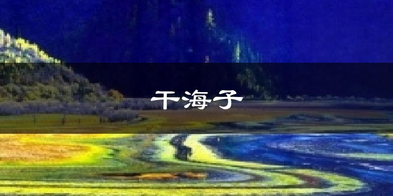 干海子今日天气