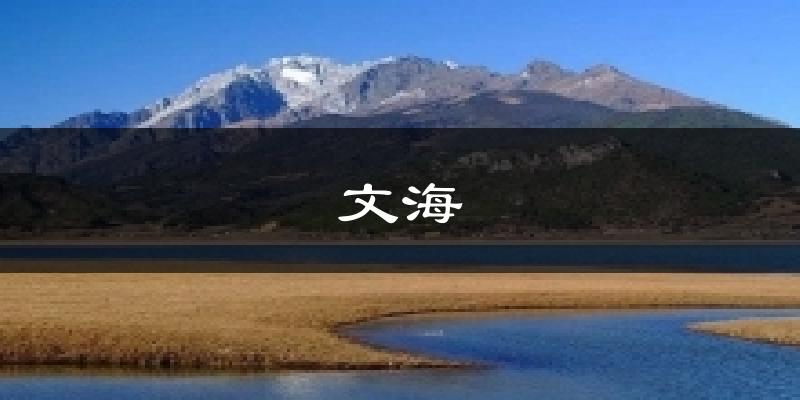 文海气温
