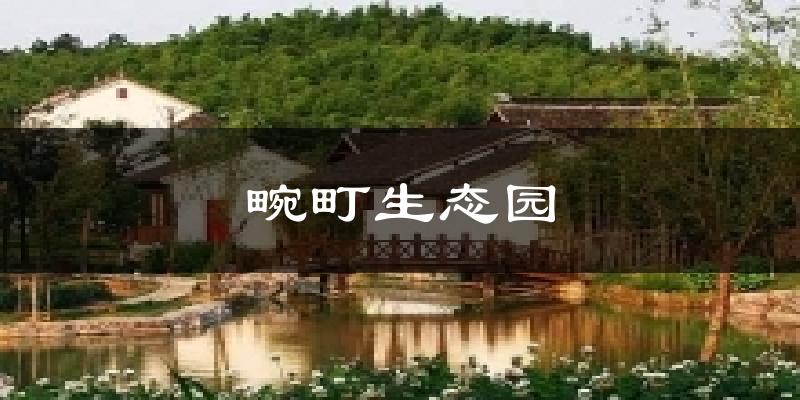 畹町生态园今日天气
