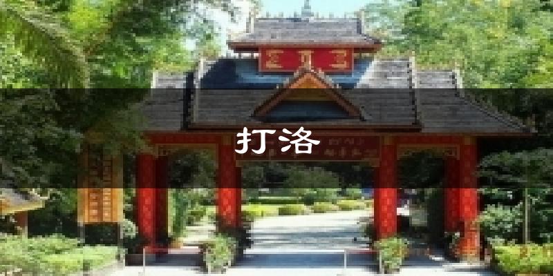 打洛今日天气
