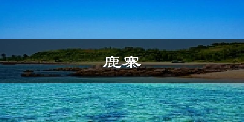 鹿寨天气预报未来一周